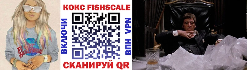 Купить закладки  Ленинск-Кузнецкий  COCAIN 97% 