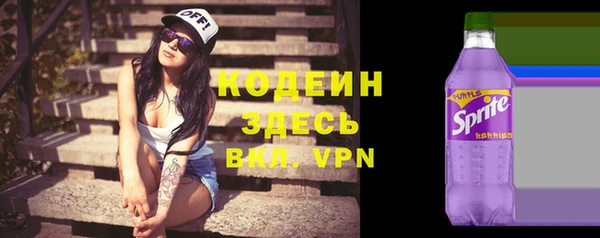 хмурый Карпинск