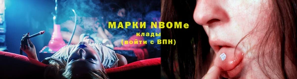 хмурый Карпинск
