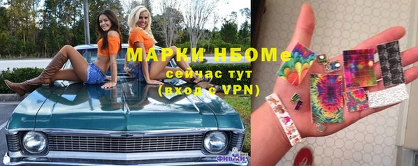 хмурый Карпинск