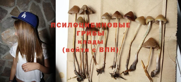 a pvp Касимов