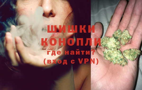 хмурый Карпинск