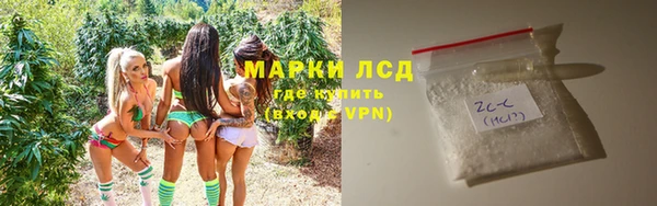 хмурый Карпинск
