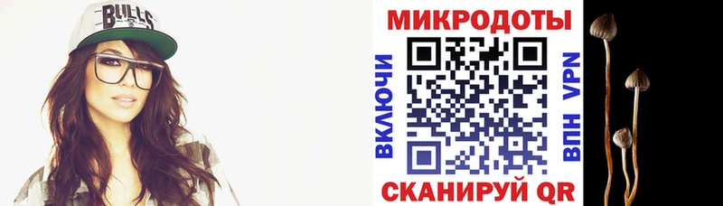 Купить где  Ленинск-Кузнецкий  Галлюциногенные грибы мухоморы 